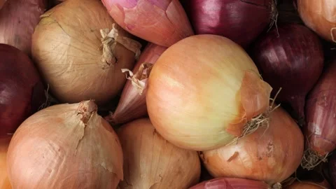 Camera moving over fresh mixed raw onions 스톡 동영상 348309021
