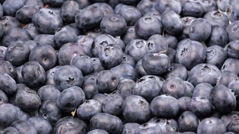 Camera moving over fresh ripe blueberries close up Stock Footage 313912953