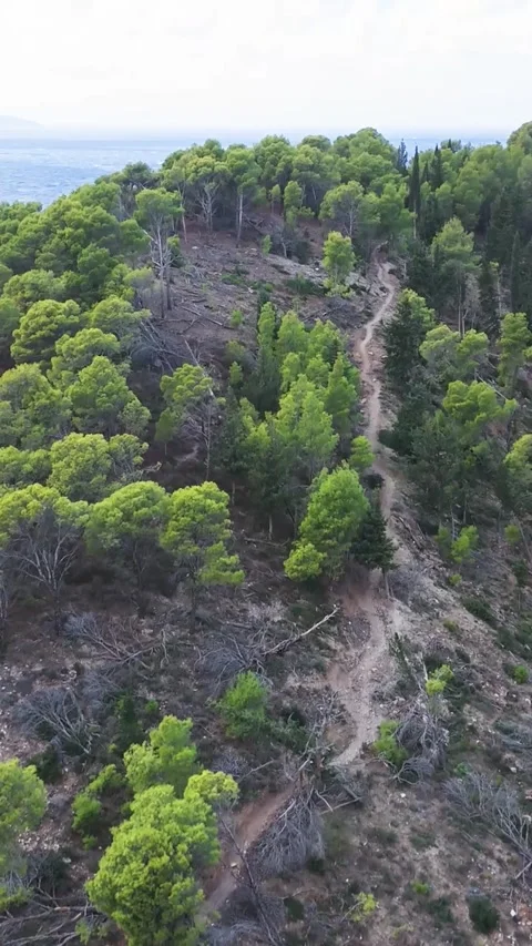 Camera moving over path leading to coastline Stock Footage 290450869
