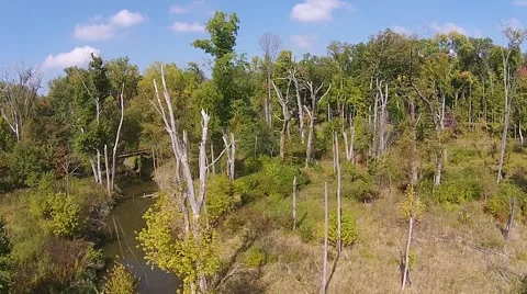 Camera moving over prairie towards woods Stock Footage 43737493