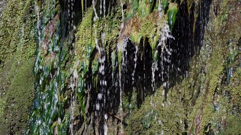 Camera moving over water from a brook flowing over stones covered with moss Stock Footage 105744749