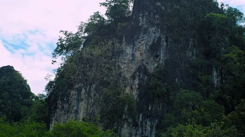 Camera moving pass the forest mountain Video stock 109083314