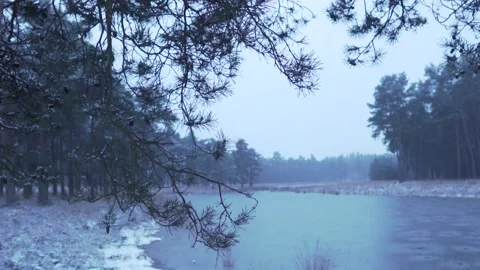 Camera moving past pine tree revealing frozen lake Stock Footage 292924607