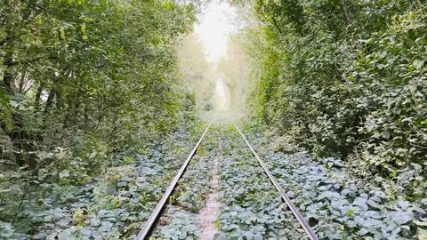 Camera moving on railway track passing through a natural tunnel formed by l.. Stock Photos