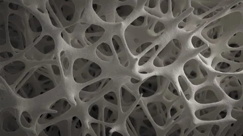 Camera moving up revealing bone tissue, scanning electron microscope, SEM, Stock Footage 252788239