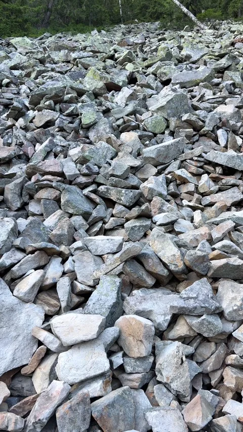 Camera moving up revealing forest behind rocks Stock Footage 282314461