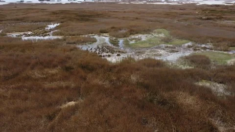Camera moving sideways of light brown grass in marshland next to Lago Chinchayco Stock Footage 251783677