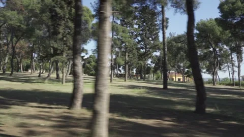 Camera moving sideways on a tree filled grove at a campus-like location Stock Footage 257774598