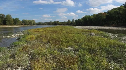 Camera moving slowly over plants in middle of river, peaceful scene Video stock 68655579