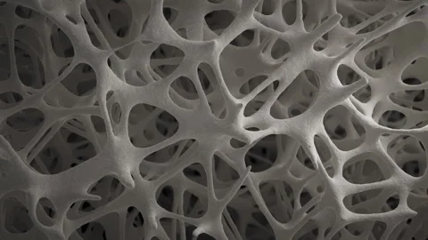Camera moving up slowly revealing bone tissue, scanning electron Stock Footage 252788395