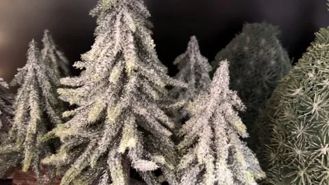 Camera moving through artificial snowy christmas trees Stock Footage 292025273