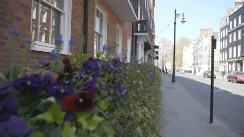 A camera moving through the flowers on a fence of houses. Stock Footage 153333431
