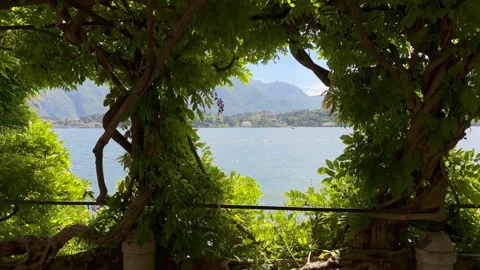 Camera Moving Through Foliage Toward Lake Como, Italy Mountains Stock Footage 337326342