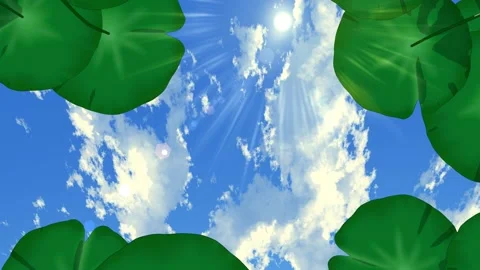 Camera Moving Through Lotus Pond Under Sunny Sky – Peaceful Nature Background Stock Footage 341958314