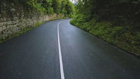 Camera moving through rainy forest Stock Footage 76530389