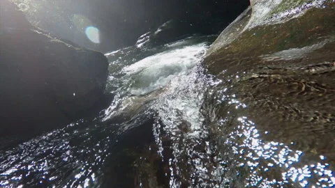 Camera moving through river water in a forest at kaiate falls Video stock 214375085
