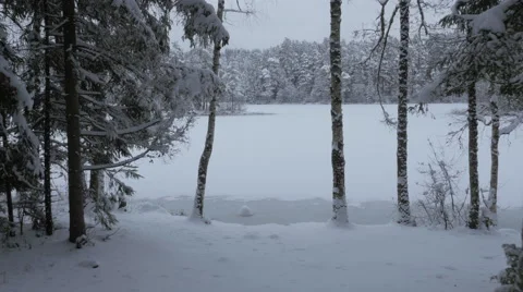 Camera moving through Trees towards Frozen Lake Video stock 65413572
