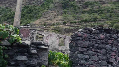 Camera moving through vineyard revealing abandoned stone house Stock Footage 293159217