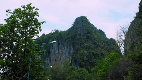 Camera moving toward the forest mountain Video stock 109083614