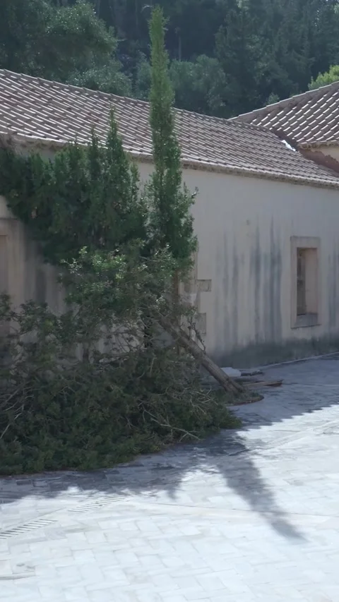 Camera moving towards open door revealing building exterior Video stock 294963856