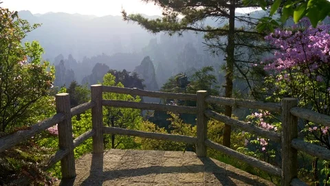 Camera moving towards view point of Zhangjiajie National Park in China Video stock 89266728