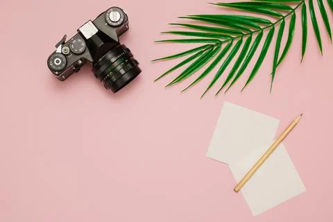The camera, a notebook with a pencil and a leaf of a palm tree lies on a pink  Stock Photos