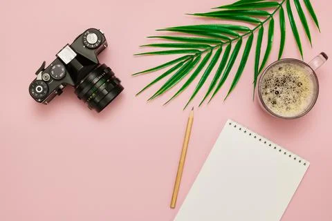 A camera, a notebook with a pencil, a cup of coffee and a leaf of a palm tree Stock Photos