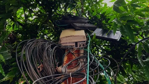 Camera Orbiting Around Utility Pole With Fiber Optic Equipment Hidden in Tree Stock Footage 340972301