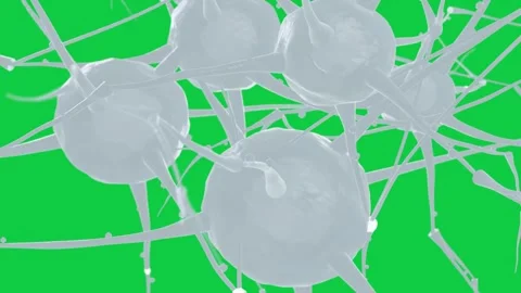Camera orbiting translucent nodes on transparent bg, revealing network form and Stock Footage 337173115