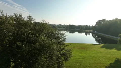 Camera orbiting tree near lake in Georgia Stock Footage 331047670