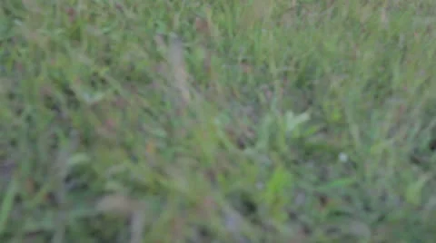 A camera over field and ocean jib shot Stock Footage 25487823