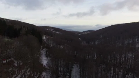 The camera overlooks a forest on the mountains with snow. Aerial drone video. N. Stock Footage 63456616