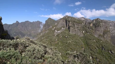 Camera pan across Mountain forest landscape Stock Footage 119292665