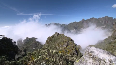 Camera pan across Mountaintop and forest landscape Stock Footage 119292928