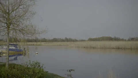 Camera Pan Across a River Stock Footage 203917764