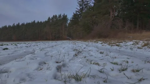Camera pan across the snow-covered ground of a forest path on an overcast day Vídeo Stock 330924442