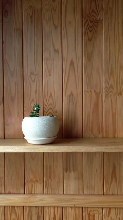 Camera pan across wooden workshop wall with potted plant on shelf Stock Footage 345478992