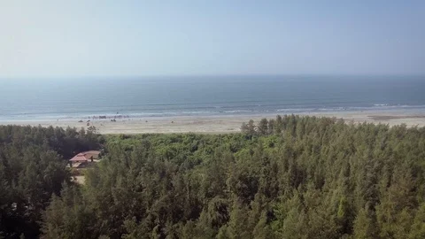 Camera pan. blue sky and blue water and green palm trees on the coast Stock Footage 129417327