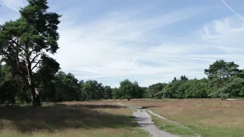Camera pan from blue sky over to field Stock Footage 201597608