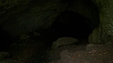 forest cave entrance