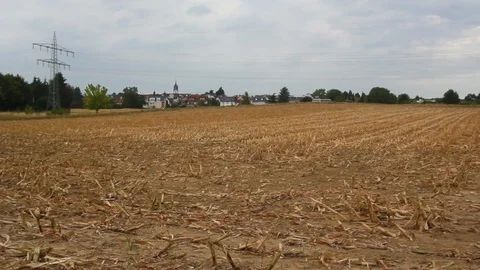 Camera pan of an dead Cornfield with cloudy sky Stock Footage 94407350