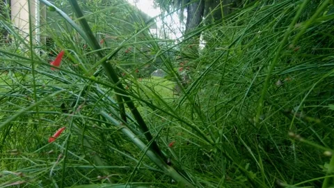 Camera pan from greens Stock Footage 137676040