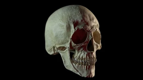 Camera Pan of Human Skull Vidéo 83873121