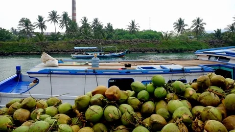 Camera Pan Inside traditional Dock in Indonesia Stockbeeldmateriaal 81501453