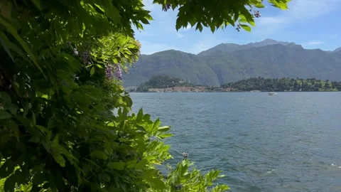 Camera Pan Over Lake Como, Italy with Wisteria and Boat Stock Footage 337326340