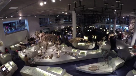 Camera pan overview modern museum looking down on floor 4k Stock Footage 60239588