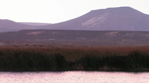 Camera pan of a small lake in Nevada desert 스톡 동영상 56245579