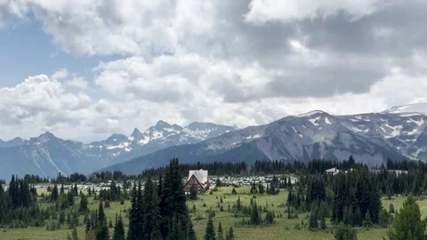 A camera pan a spectacular view of pine trees and glaciers mountains Stock Footage 320494384