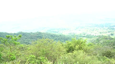 Camera Pan At The Top Of Nirvana Natural Reserve Stock-Footage 300725107