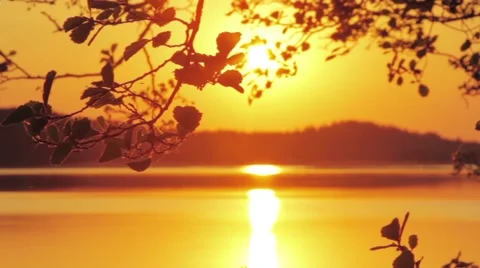 Camera pan of tree branch and sunset over the lake Stock Footage 58822695